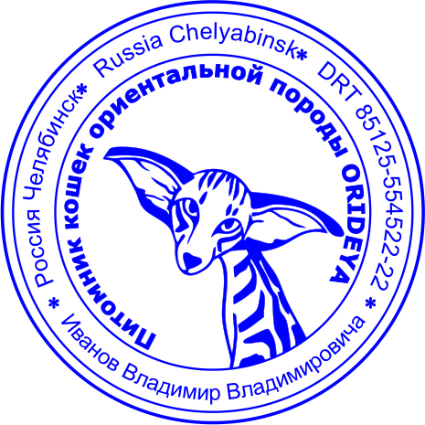 Клише